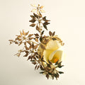 Earcuff Libertad Oro - SACH ATELIER