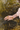 Pulsera Efímero 5
